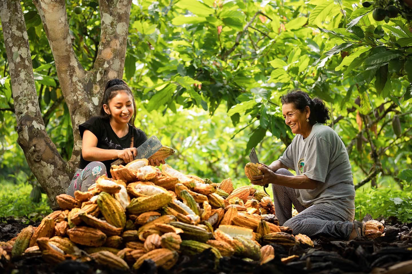 Ciocolată 70% îndulcită cu pudră de curmale - origine Peru Qori Inti ORGANIC